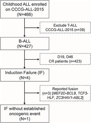 Down-Regulated FOXO1 in Refractory/Relapse Childhood B-Cell Acute Lymphoblastic Leukemia